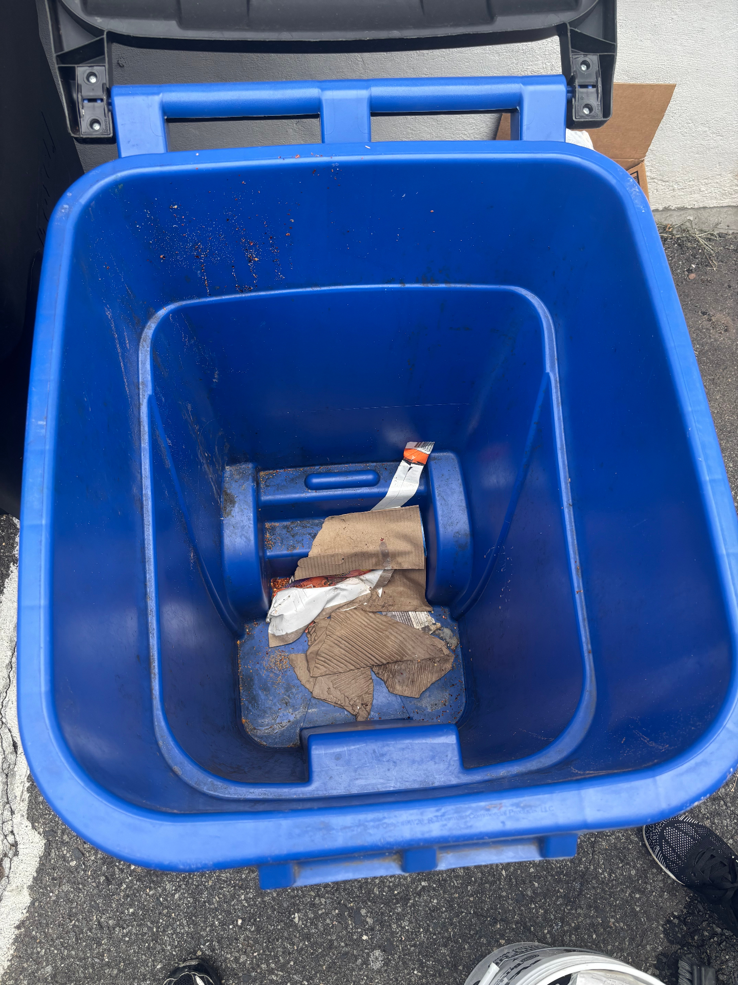 Blue Recycling Bin before cleaning